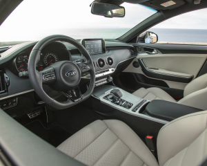 Kia Stinger blue details  (8)